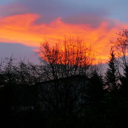 Henning Apartment Bad Harzburg Bagian luar foto