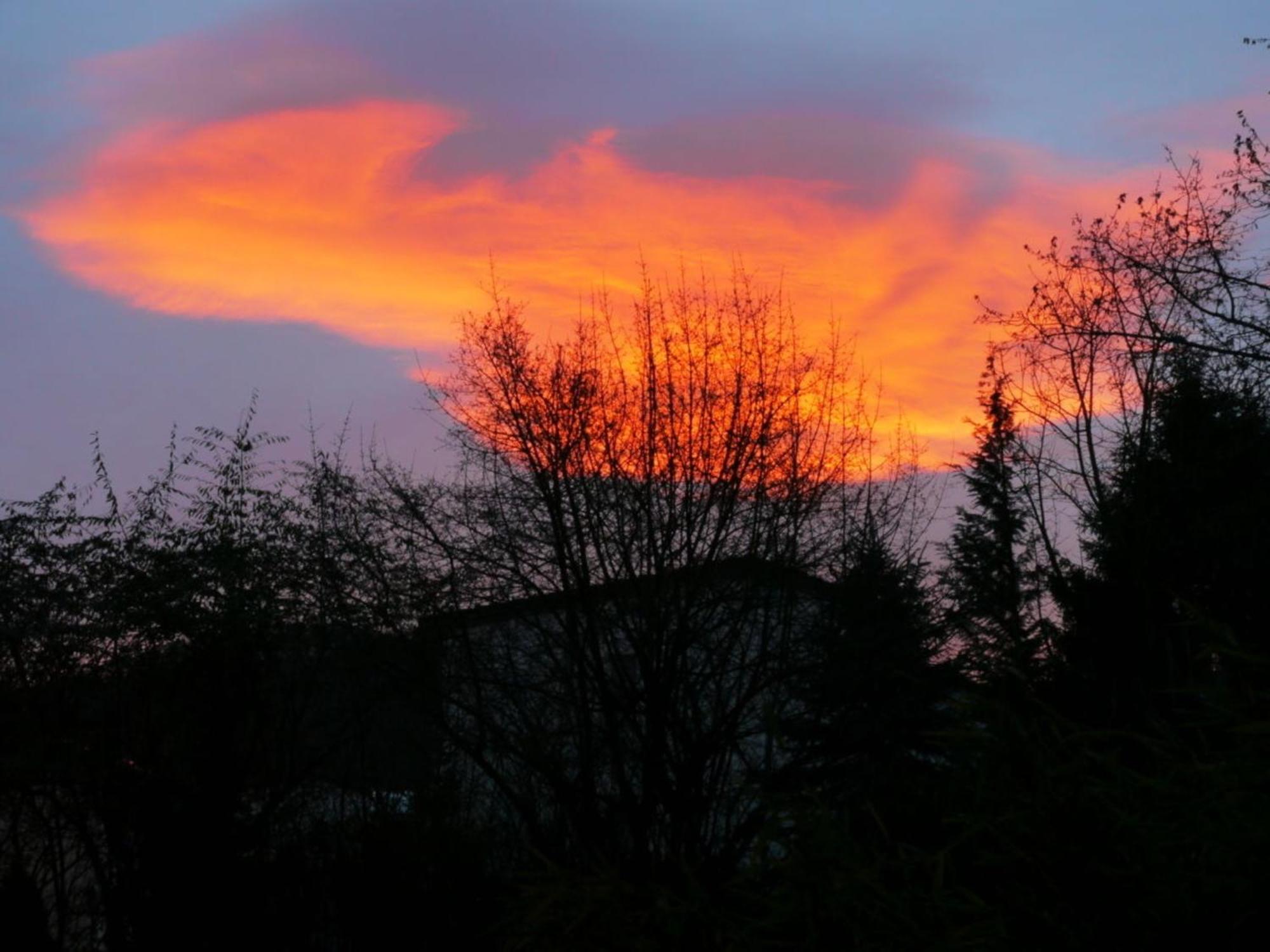 Henning Apartment Bad Harzburg Bagian luar foto
