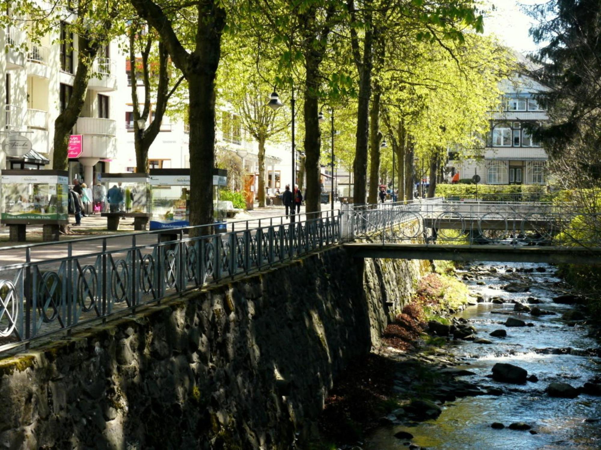 Henning Apartment Bad Harzburg Bagian luar foto